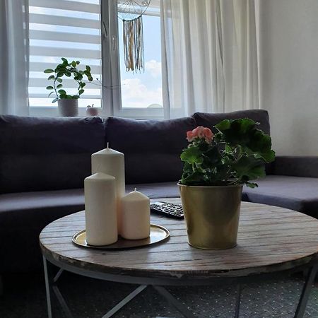 Apartament Przy Ratuszu Malbork Dış mekan fotoğraf